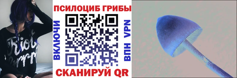 сколько стоит  Кадников  Галлюциногенные грибы мухоморы 